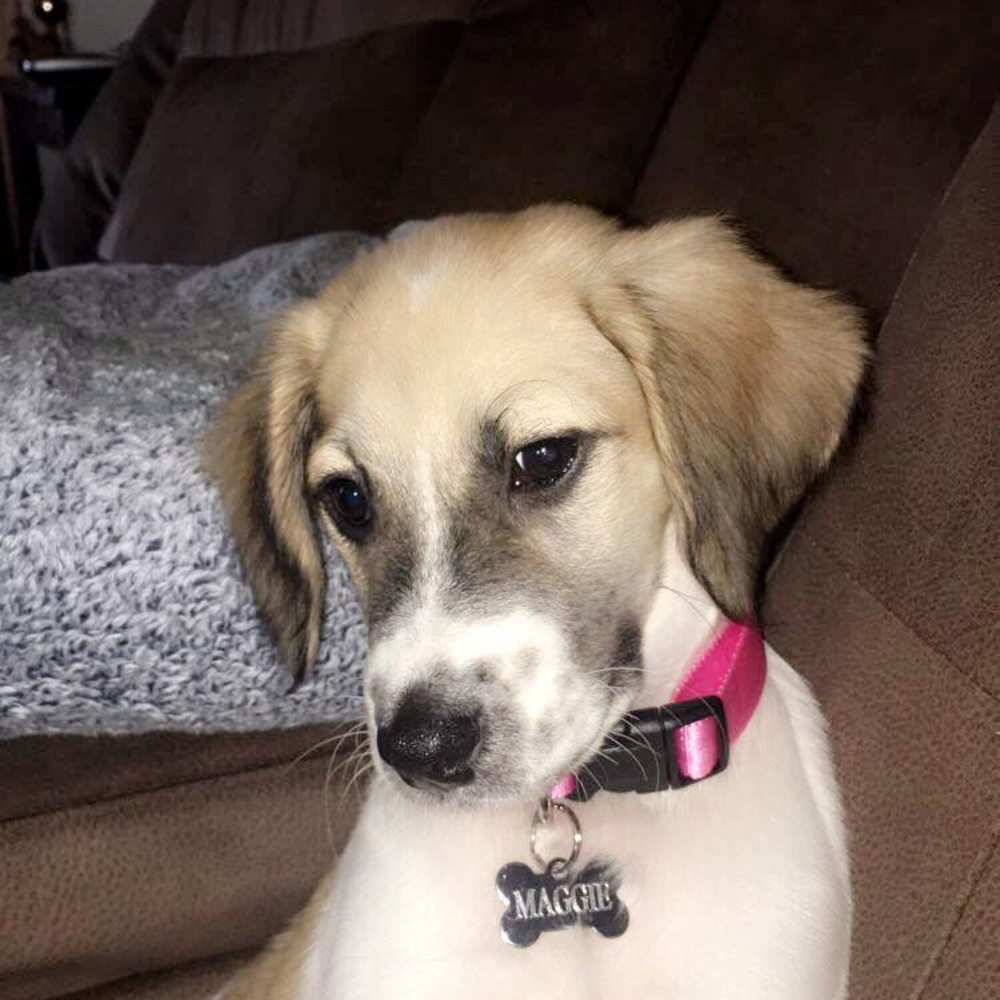 Meet your Posher, Ryen